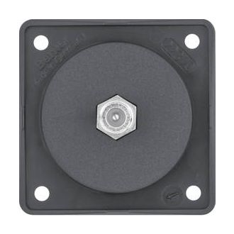 Antennirasia antrasiitti matta